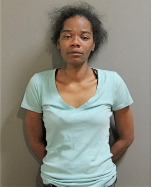 MICHELLE A JONES, Cook County, Illinois