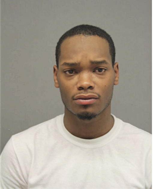 MARCUS A MANN, Cook County, Illinois