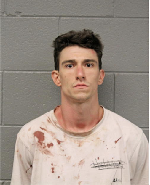 BRANDON TYLER MCCARTHY, Cook County, Illinois