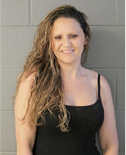 LISA J MCGUIRE, Cook County, Illinois
