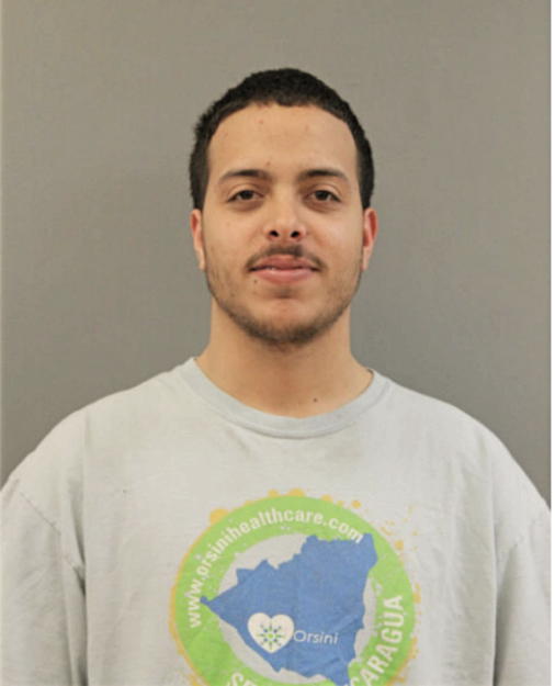NEFTAL S MEDINA CARABALLO, Cook County, Illinois