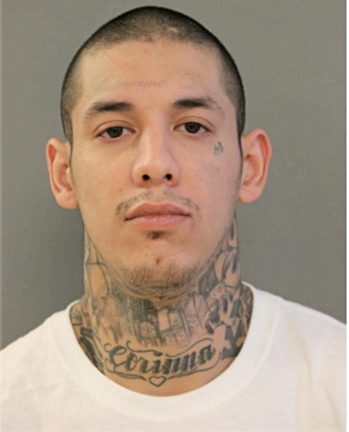 GUSTAVO A MENDOZA, Cook County, Illinois