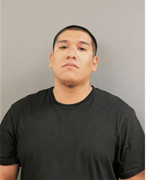 MARCO A MENDOZA, Cook County, Illinois