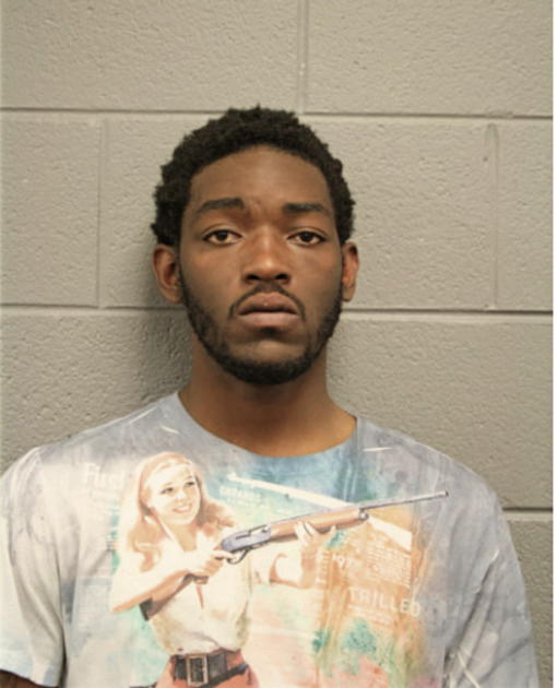 KENNETH R NELSON, Cook County, Illinois