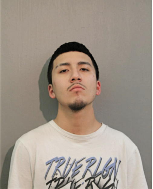 PEDRO NENDIOLA, Cook County, Illinois