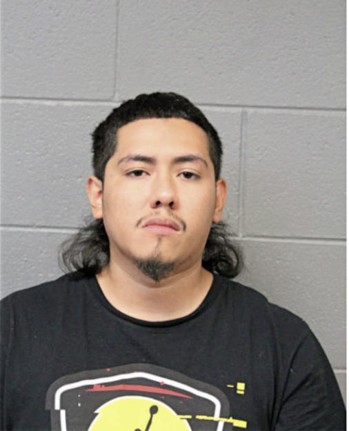 CARLOS A RIVERA, Cook County, Illinois