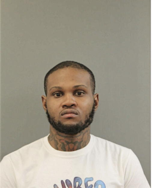 DAVID D SHADD, Cook County, Illinois