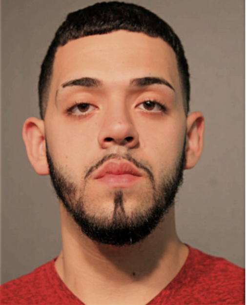 DAVID TORRES, Cook County, Illinois