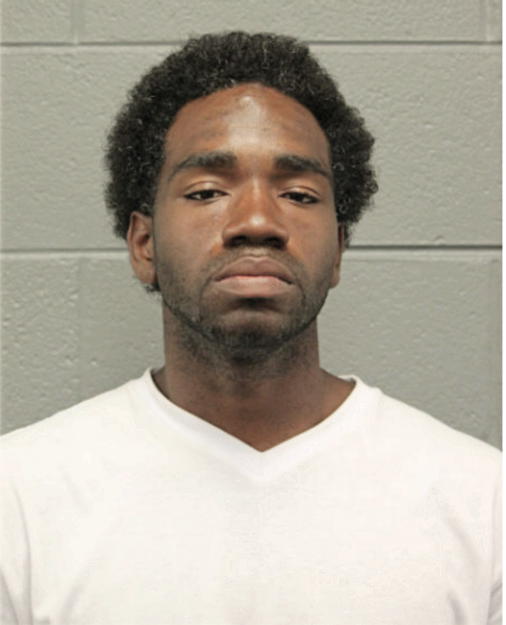 JEROME J WATSON, Cook County, Illinois