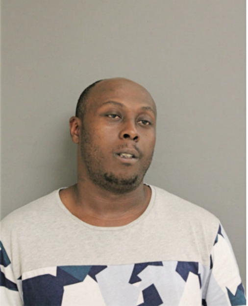 MICHAEL J WILLIAMS, Cook County, Illinois
