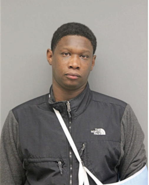 ROBERT M WILSON, Cook County, Illinois