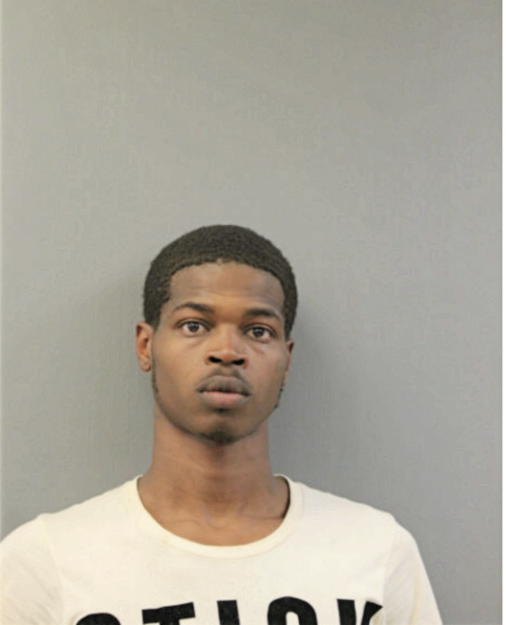 CHRISTOPHER L WIMES, Cook County, Illinois