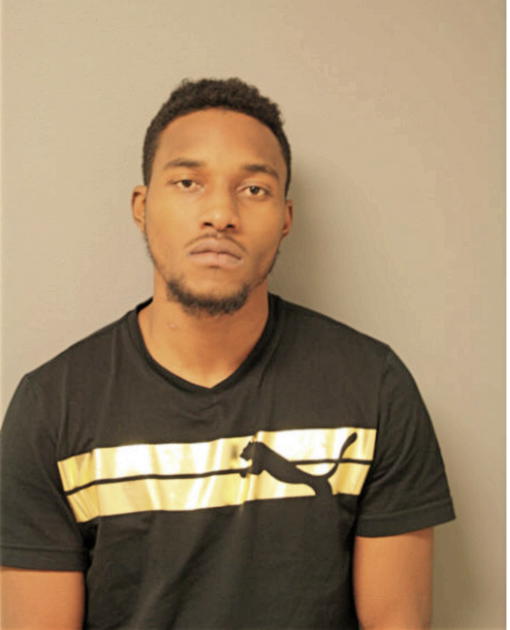 RAPHAEL D ALTMAN, Cook County, Illinois