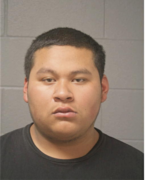 CHRISTIAN ALVAREZ, Cook County, Illinois