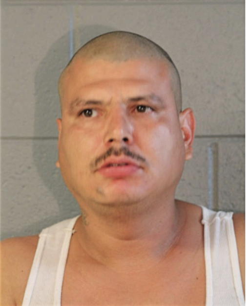 JESSE R ANAYA, Cook County, Illinois