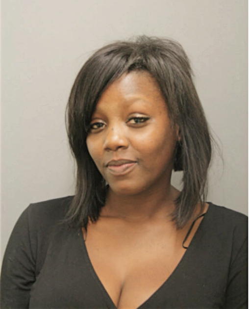 NINA L ANDERSON, Cook County, Illinois