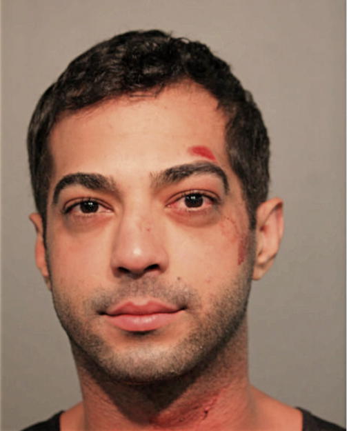 RAMON E BATISTA, Cook County, Illinois