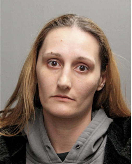 KRYSTLE A BERGERON, Cook County, Illinois