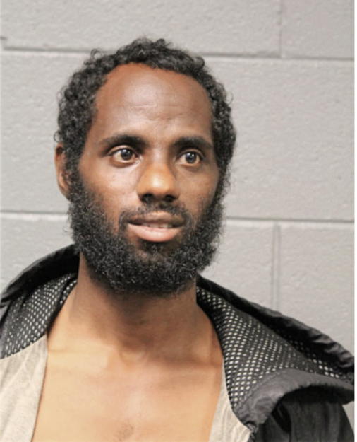 MARLON L BRANDON, Cook County, Illinois