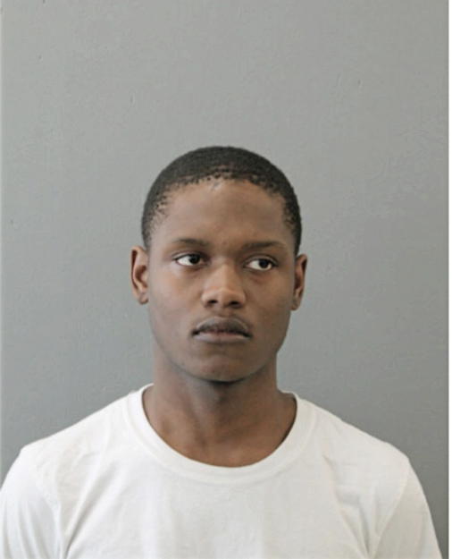 RASHAWN R DOBINE, Cook County, Illinois
