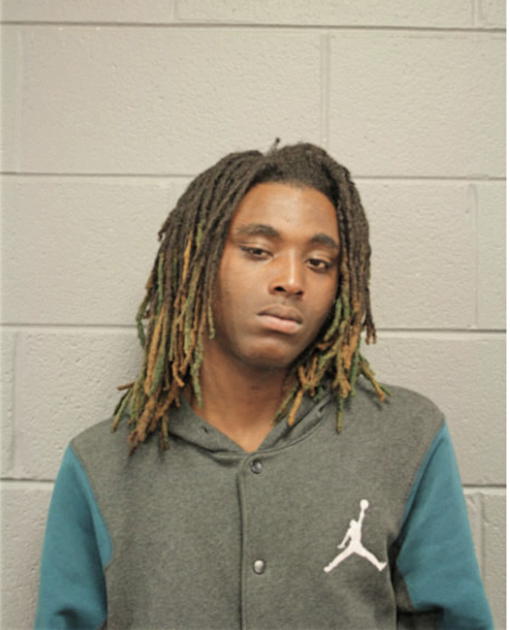 NATHAN EMERSON, Cook County, Illinois