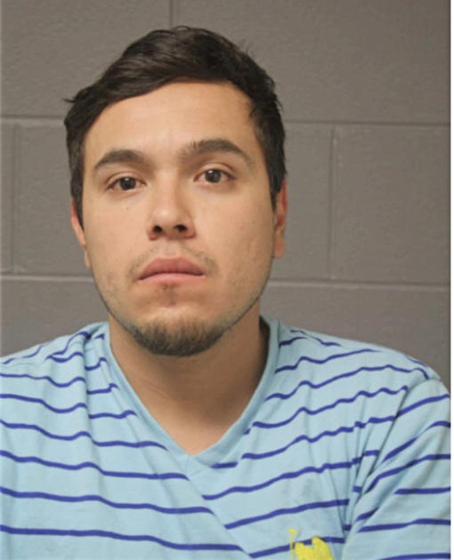 MARCO A FLORES, Cook County, Illinois