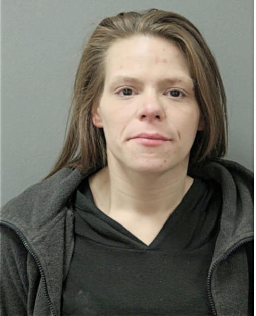 CAROL A FRIEDBERG, Cook County, Illinois