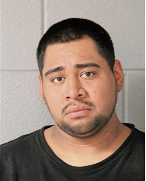 JOVANY A GALICIA, Cook County, Illinois