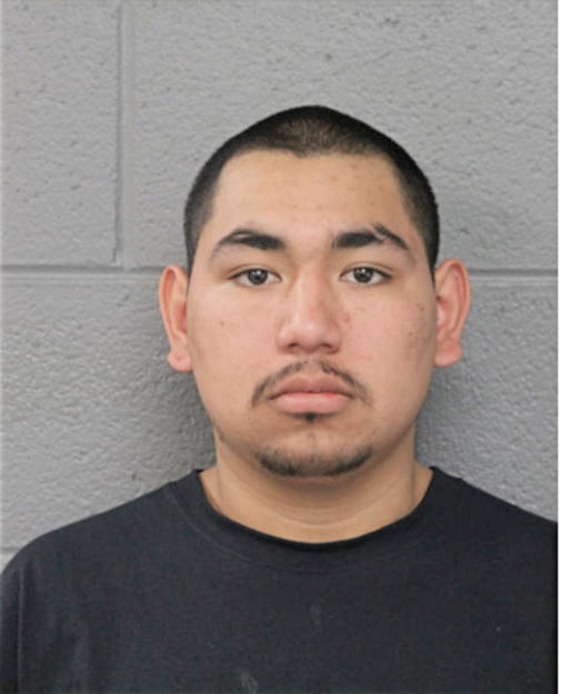 ANDRES GARDUZA-ORTEGA, Cook County, Illinois