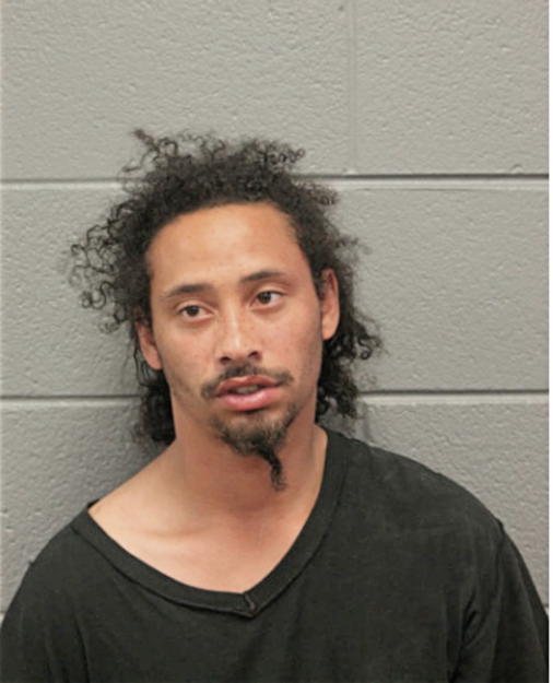 LASHAWN GREEN, Cook County, Illinois