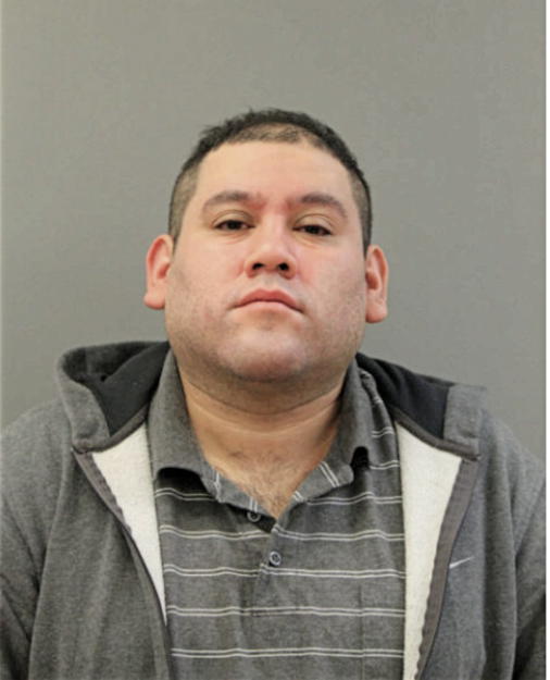 NOEL R HERNANDEZ, Cook County, Illinois