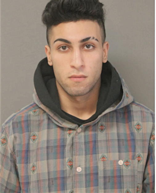 AMEER AL HUSSEINI, Cook County, Illinois