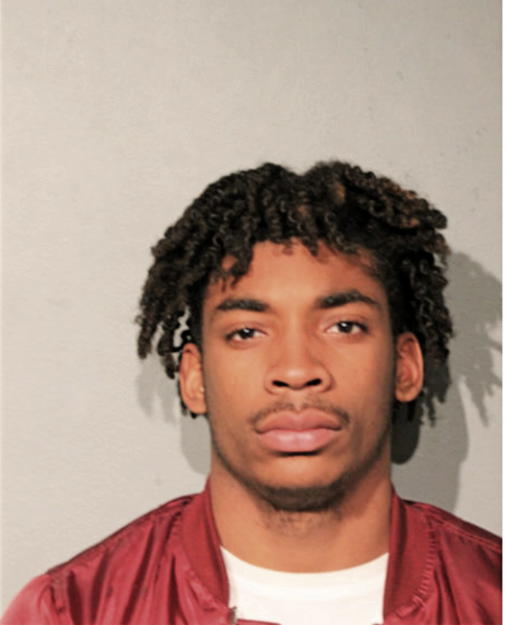 LAZELL L JOHNSON, Cook County, Illinois