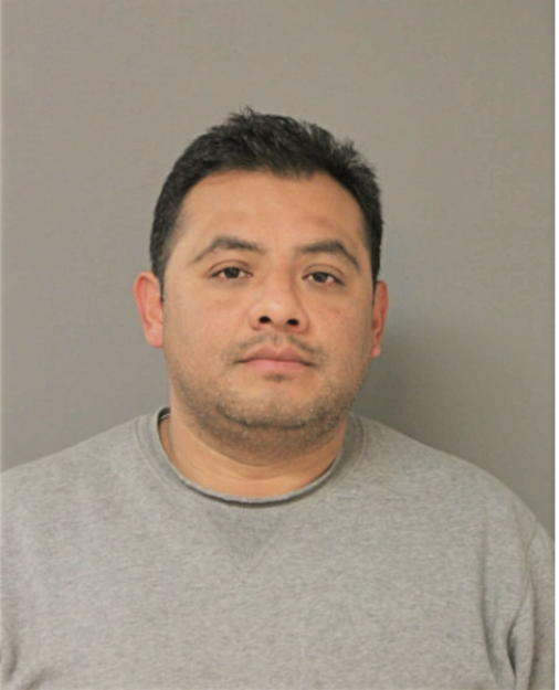 JOSE L LAGUNA, Cook County, Illinois
