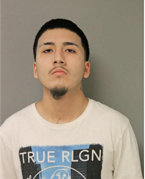 PEDRO MENDIOLA, Cook County, Illinois