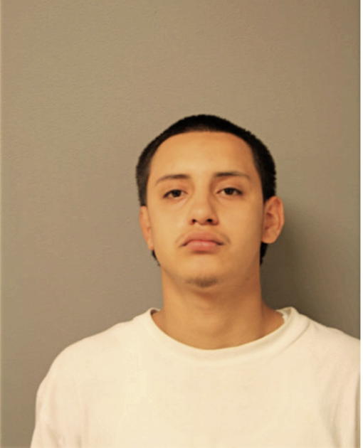 EDILBERTO MENDOZA, Cook County, Illinois