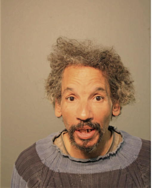 STEVEN L MITCHELL, Cook County, Illinois