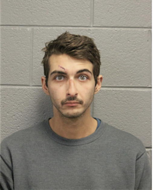 ALEX J MURRELL, Cook County, Illinois
