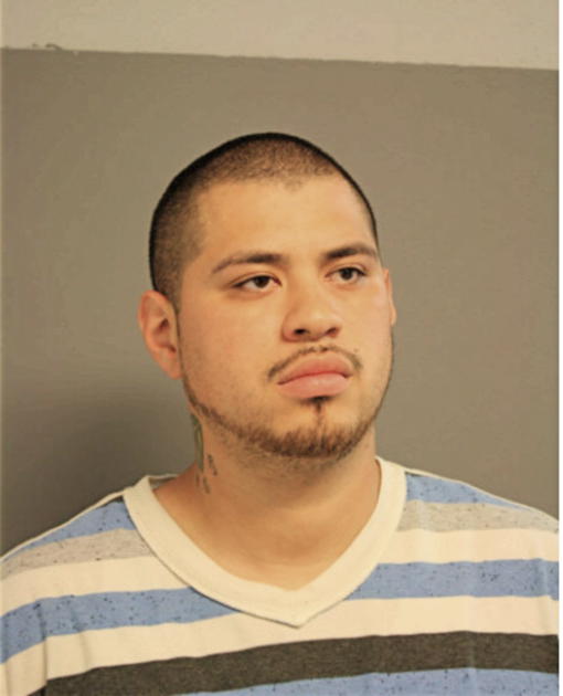 FERNANDO PERALTA, Cook County, Illinois