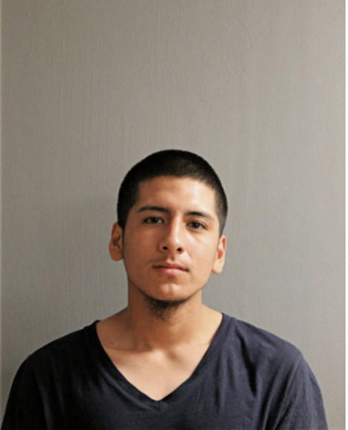 JOHN D PERALTA, Cook County, Illinois