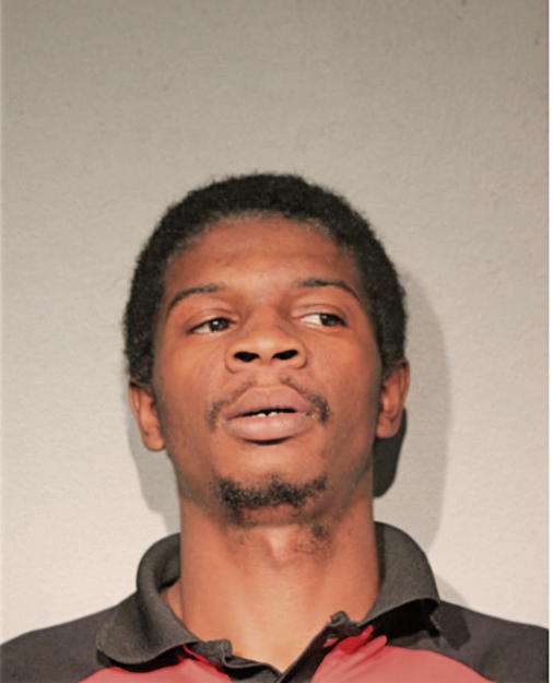 JAMES L RAVIN, Cook County, Illinois