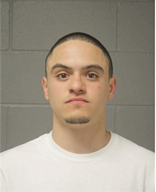 NICOLAS R ROSARIO, Cook County, Illinois