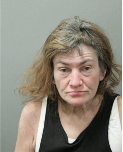 MARYBETH E SALVATORE, Cook County, Illinois