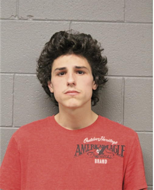 JASON SILBERBAUER, Cook County, Illinois