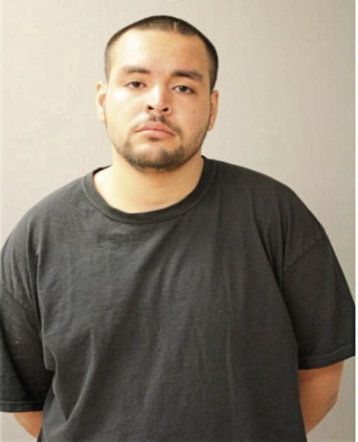 ANTHONY R TORRES, Cook County, Illinois