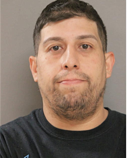 BLAS G TORRES, Cook County, Illinois