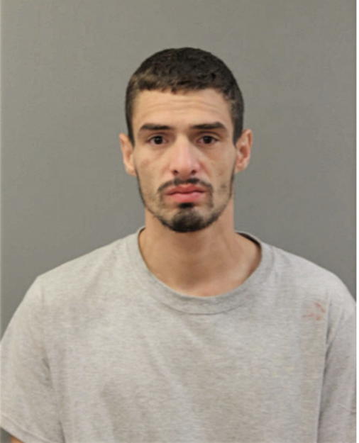 PRIMITIVO TORRES, Cook County, Illinois