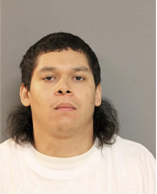 ALEJANDRO VALDEZ, Cook County, Illinois