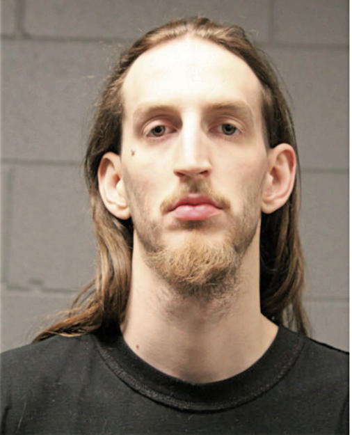 MICHAEL A WEINREIS, Cook County, Illinois