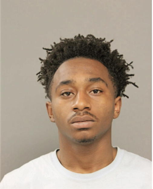 ANGELO T BALDWIN, Cook County, Illinois